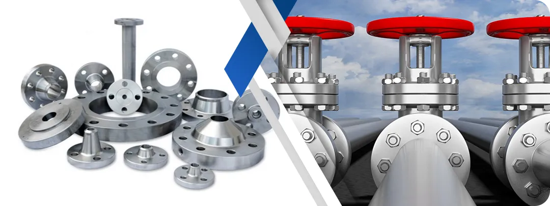 Duplex & Super Duplex Steel Flanges Manufacturer in India